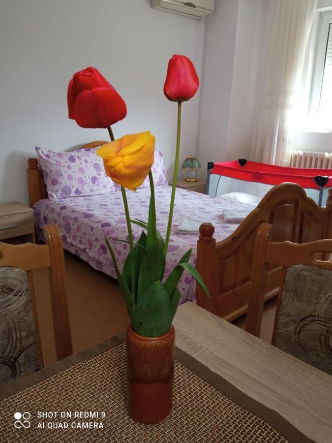 Apartman Andelina Vrnjačka Banja Exteriör bild