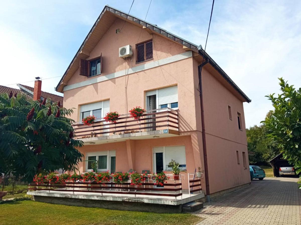 Apartman Andelina Vrnjačka Banja Exteriör bild