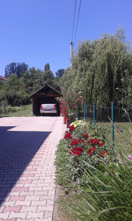Apartman Andelina Vrnjačka Banja Exteriör bild