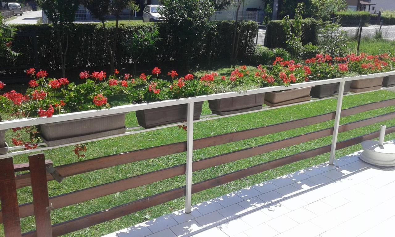 Apartman Andelina Vrnjačka Banja Exteriör bild